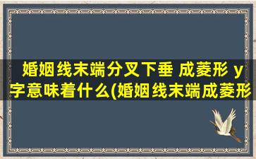 婚姻线末端分叉下垂 成菱形 y字意味着什么(婚姻线末端成菱形Y字？拆解掌纹学，看看你的婚姻命运！)